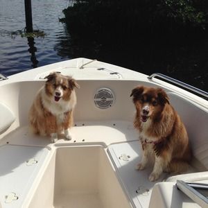 Meet your Posher, Jim